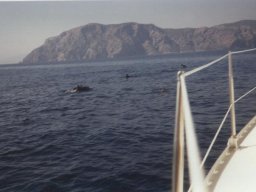 Törn 1990